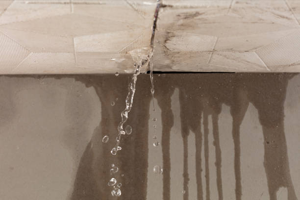 Professional Water Extraction technician working in Port Costa, CA